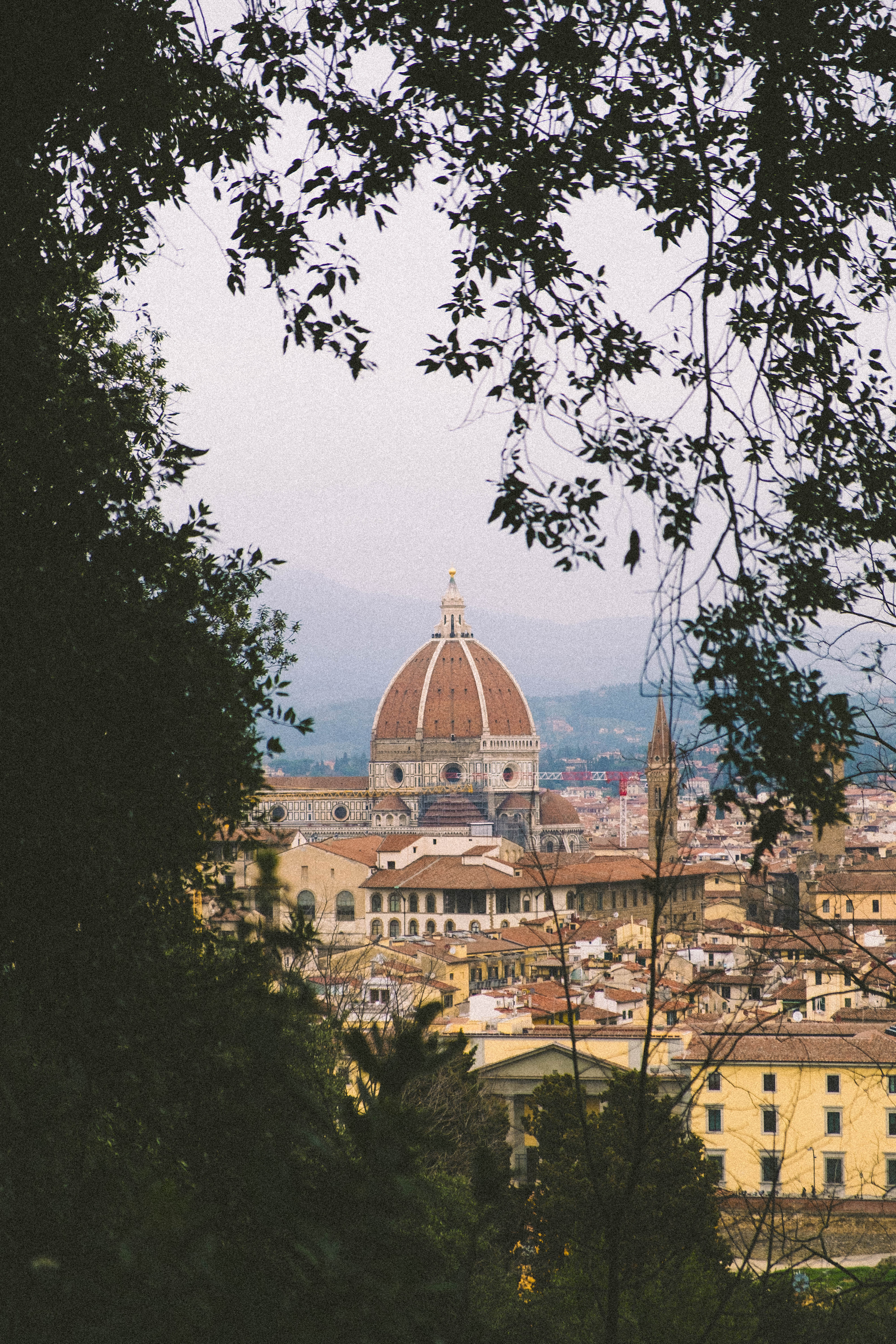 Firenze